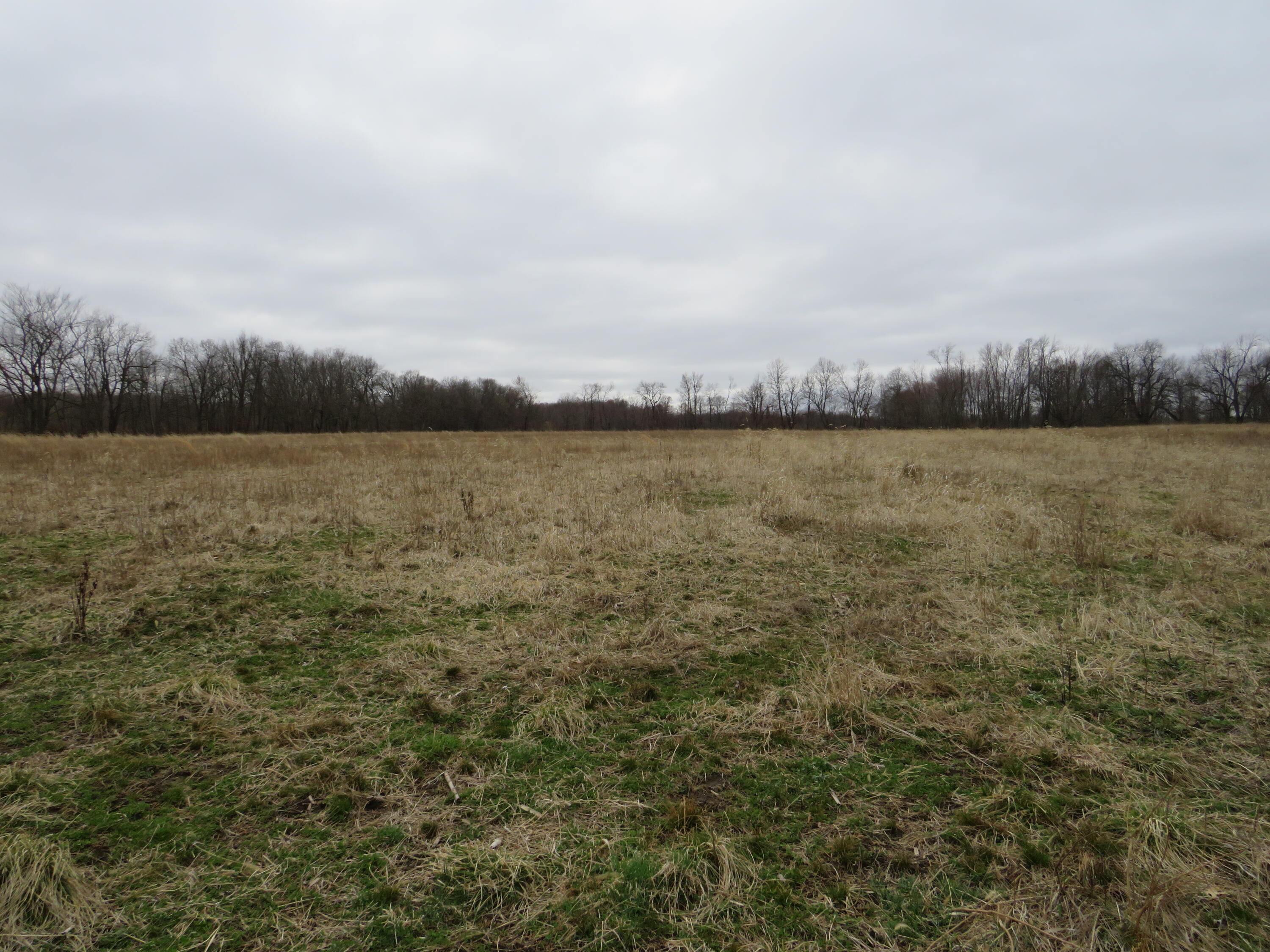 Fenner Road Laingsburg, MI 48848 - Photo 12 of 30 IMG_3782