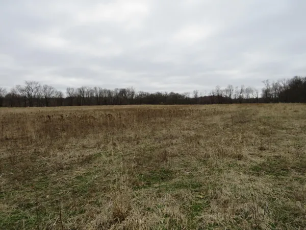 $279,000 | Fenner Road, Laingsburg, MI 48848