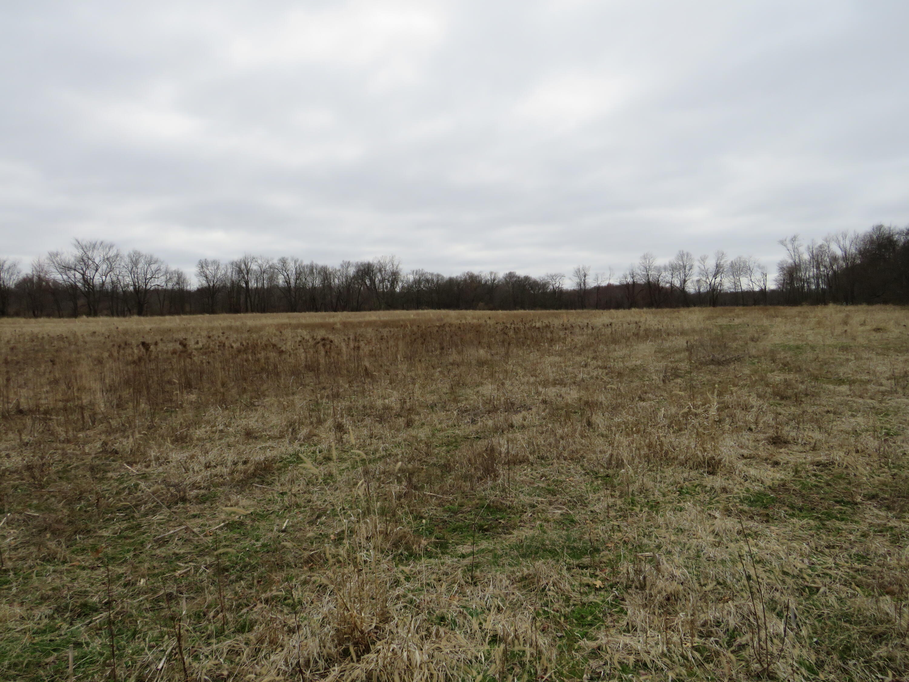 Fenner Road Laingsburg, MI 48848 - Photo 13 of 30 IMG_3787