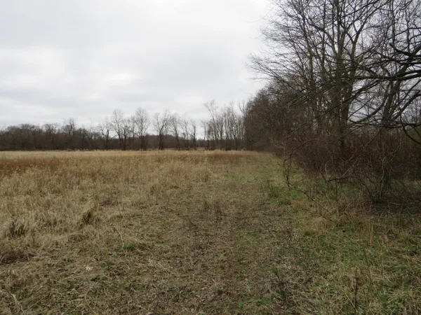 $279,000 | Fenner Road, Laingsburg, MI 48848