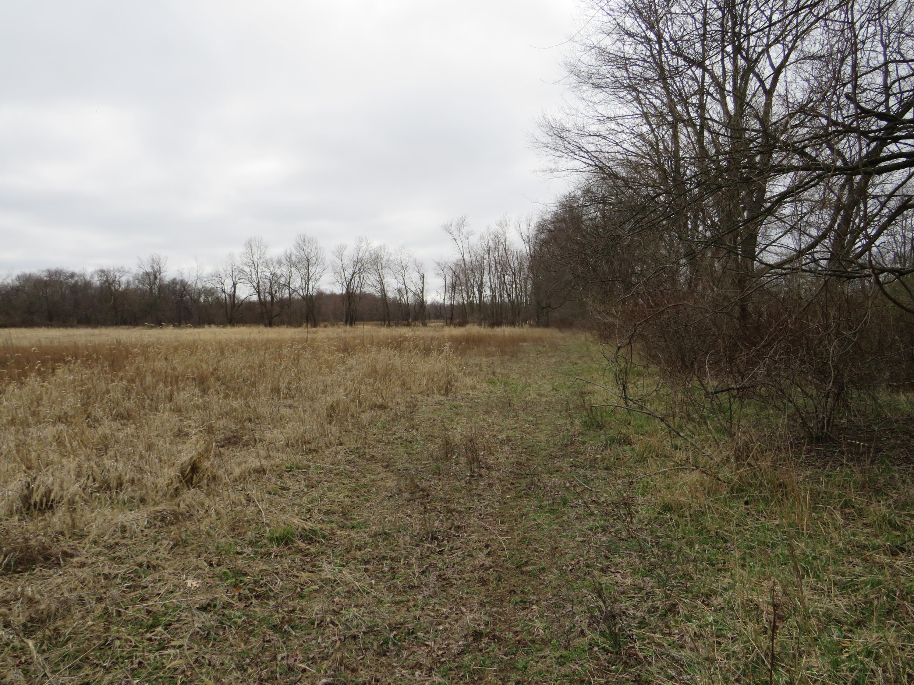 Fenner Road Laingsburg, MI 48848 - Photo 14 of 30 IMG_3790