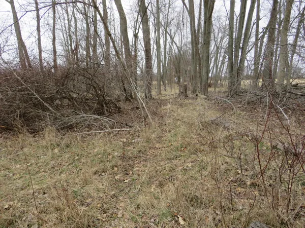 $279,000 | Fenner Road, Laingsburg, MI 48848