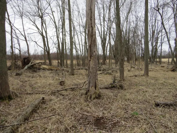 $279,000 | Fenner Road, Laingsburg, MI 48848