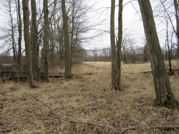 $279,000 | Fenner Road, Laingsburg, MI 48848