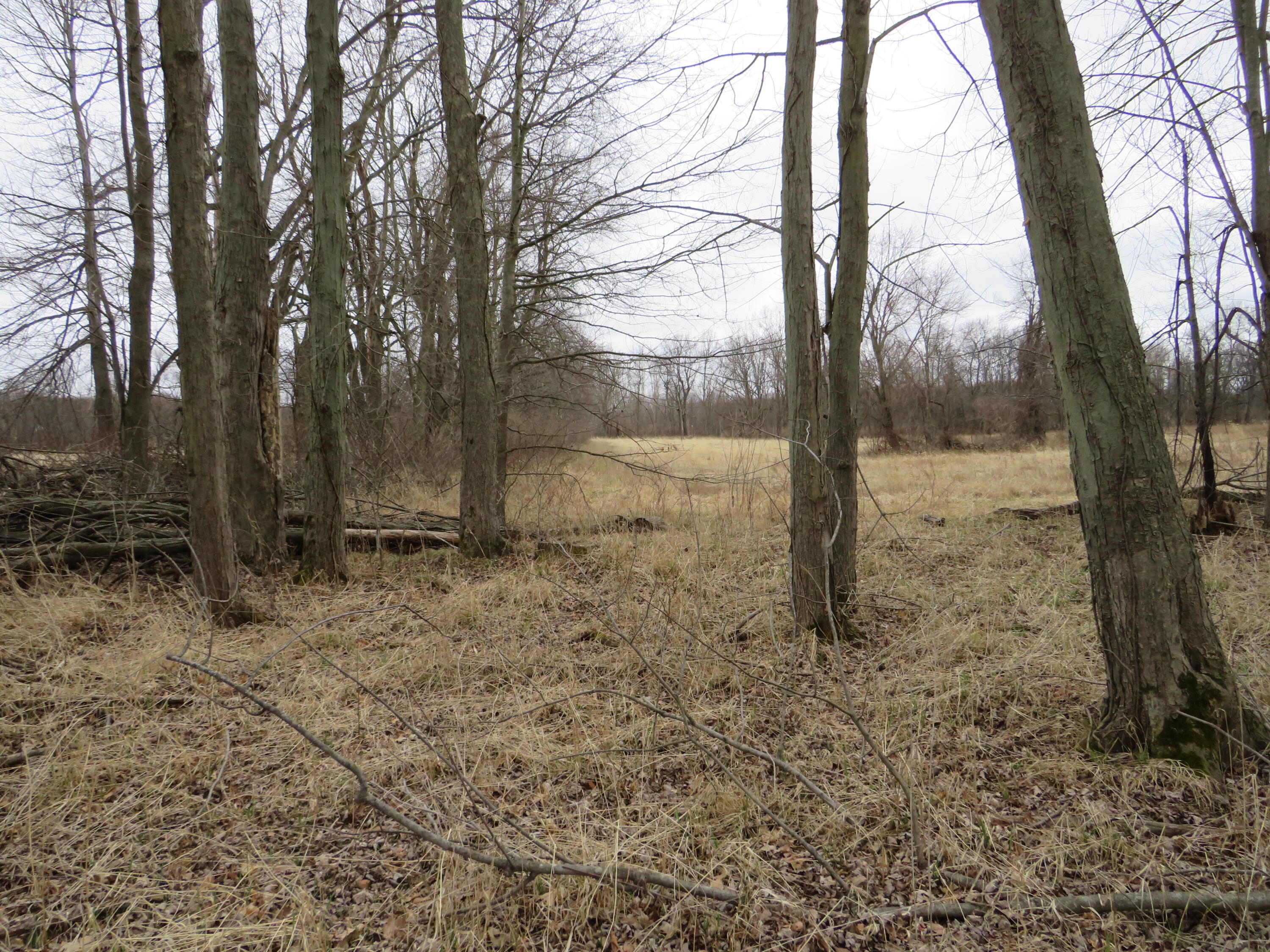 Fenner Road Laingsburg, MI 48848 - Photo 17 of 30 IMG_3803