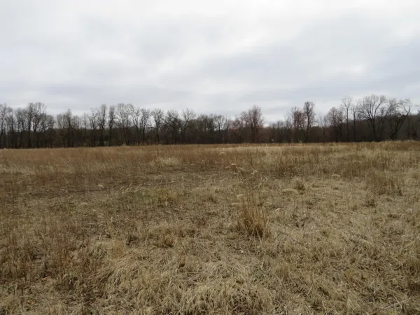 $279,000 | Fenner Road, Laingsburg, MI 48848