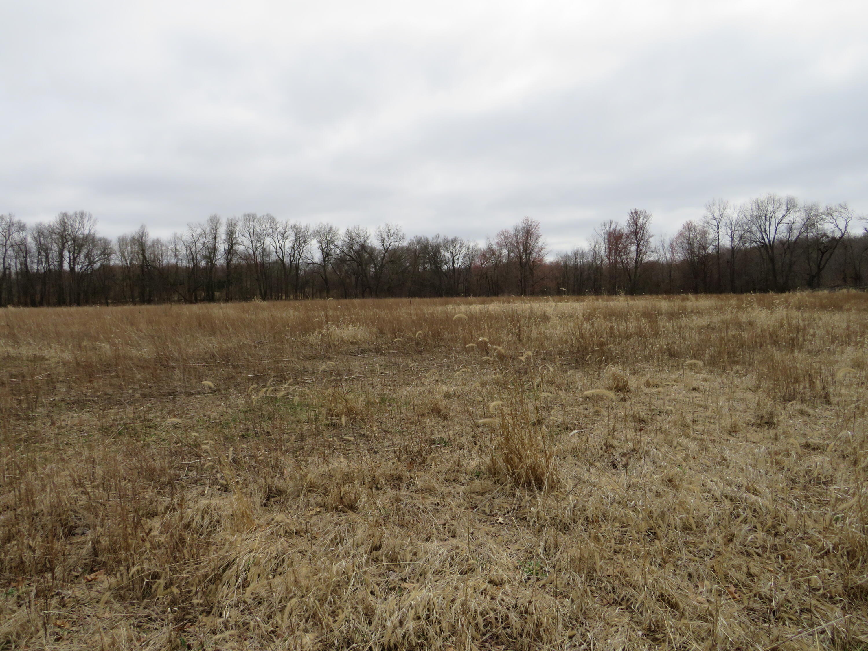 Fenner Road Laingsburg, MI 48848 - Photo 18 of 30 IMG_3809