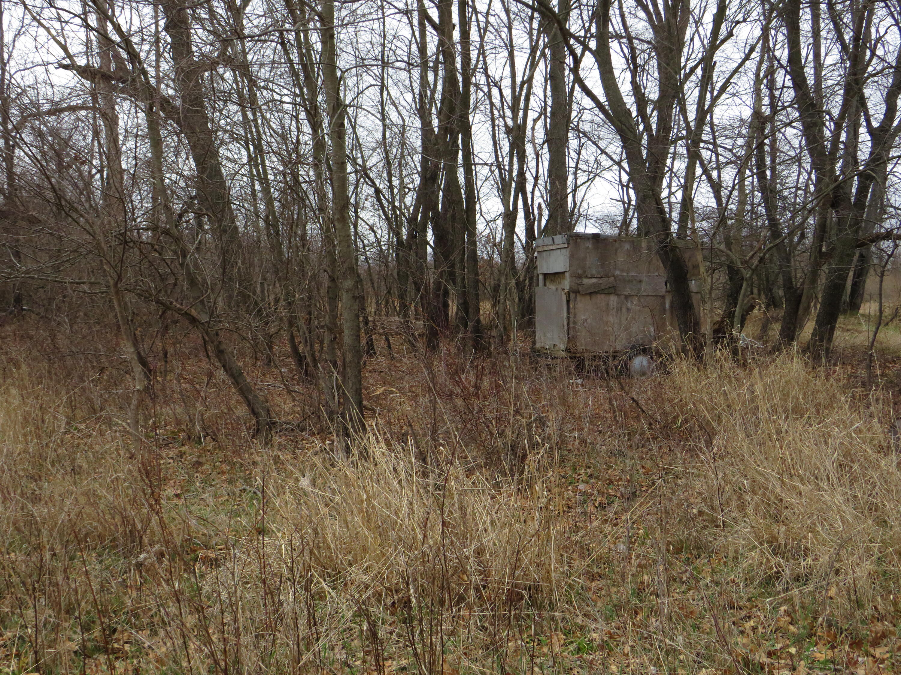 Fenner Road Laingsburg, MI 48848 - Photo 19 of 30 IMG_3812