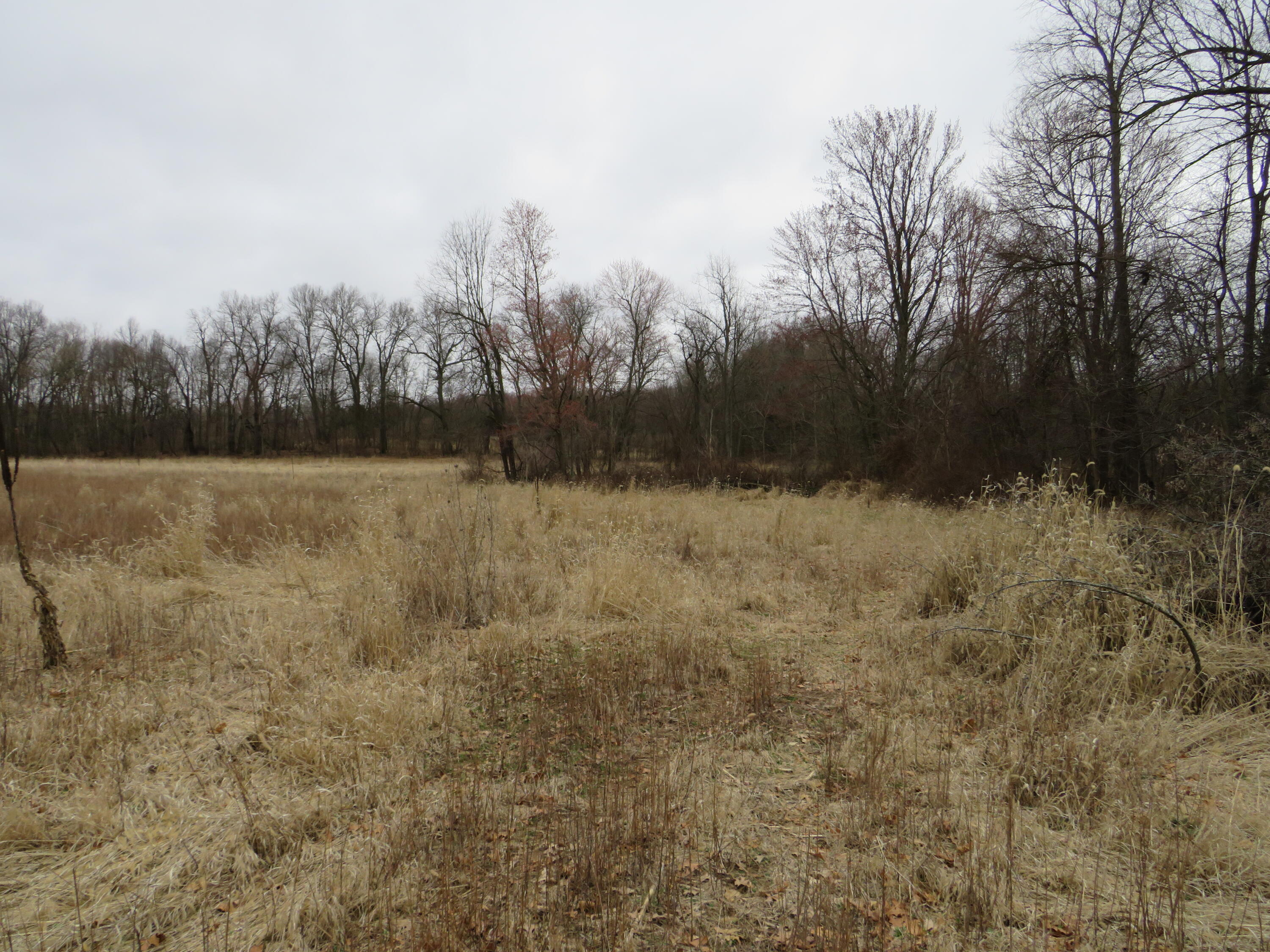 Fenner Road Laingsburg, MI 48848 - Photo 20 of 30 IMG_3817