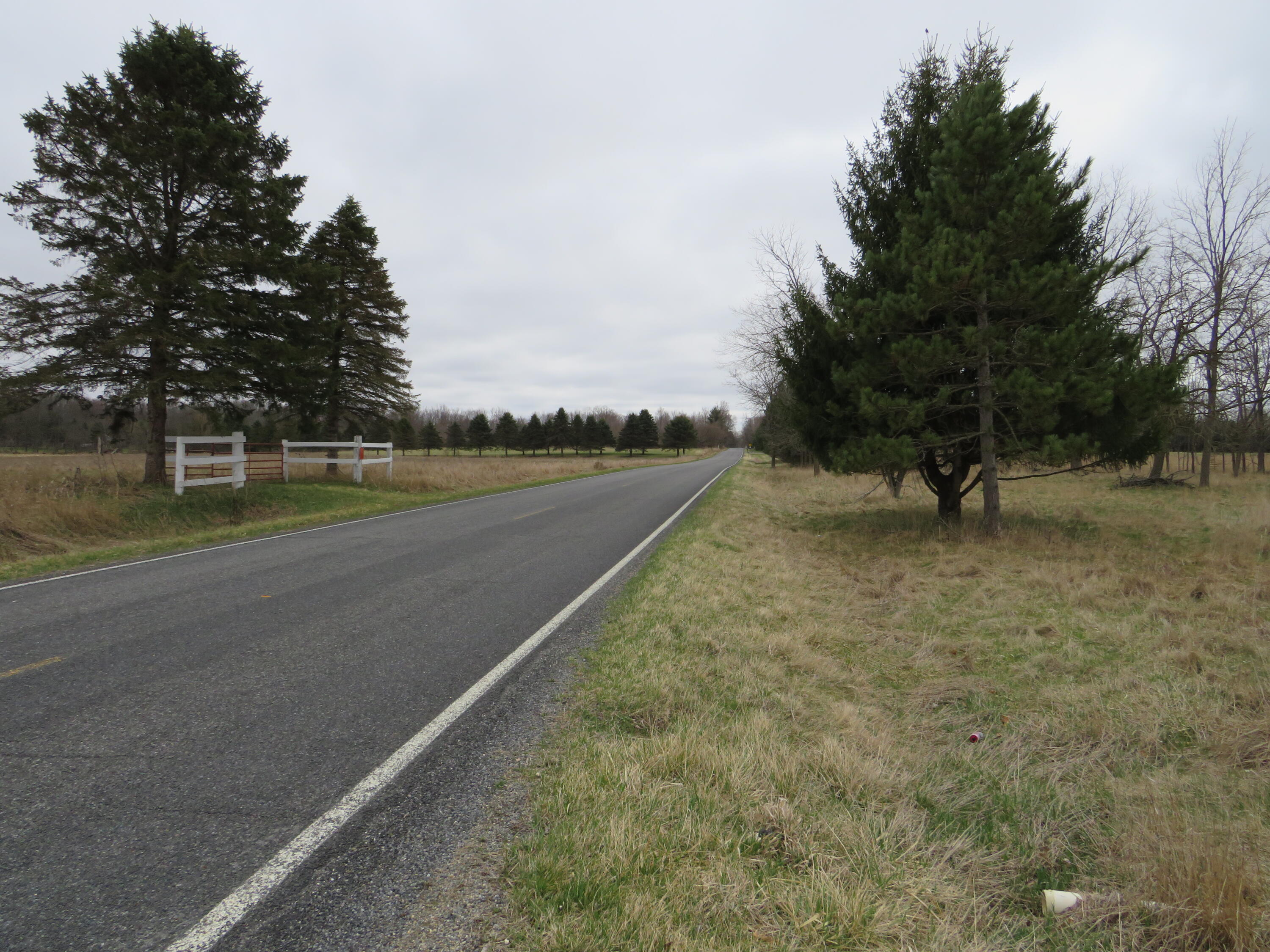 Fenner Road Laingsburg, MI 48848 - Photo 2 of 30 IMG_3756