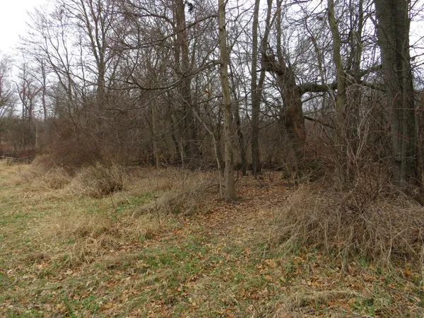 $279,000 | Fenner Road, Laingsburg, MI 48848