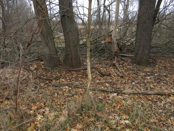 $279,000 | Fenner Road, Laingsburg, MI 48848