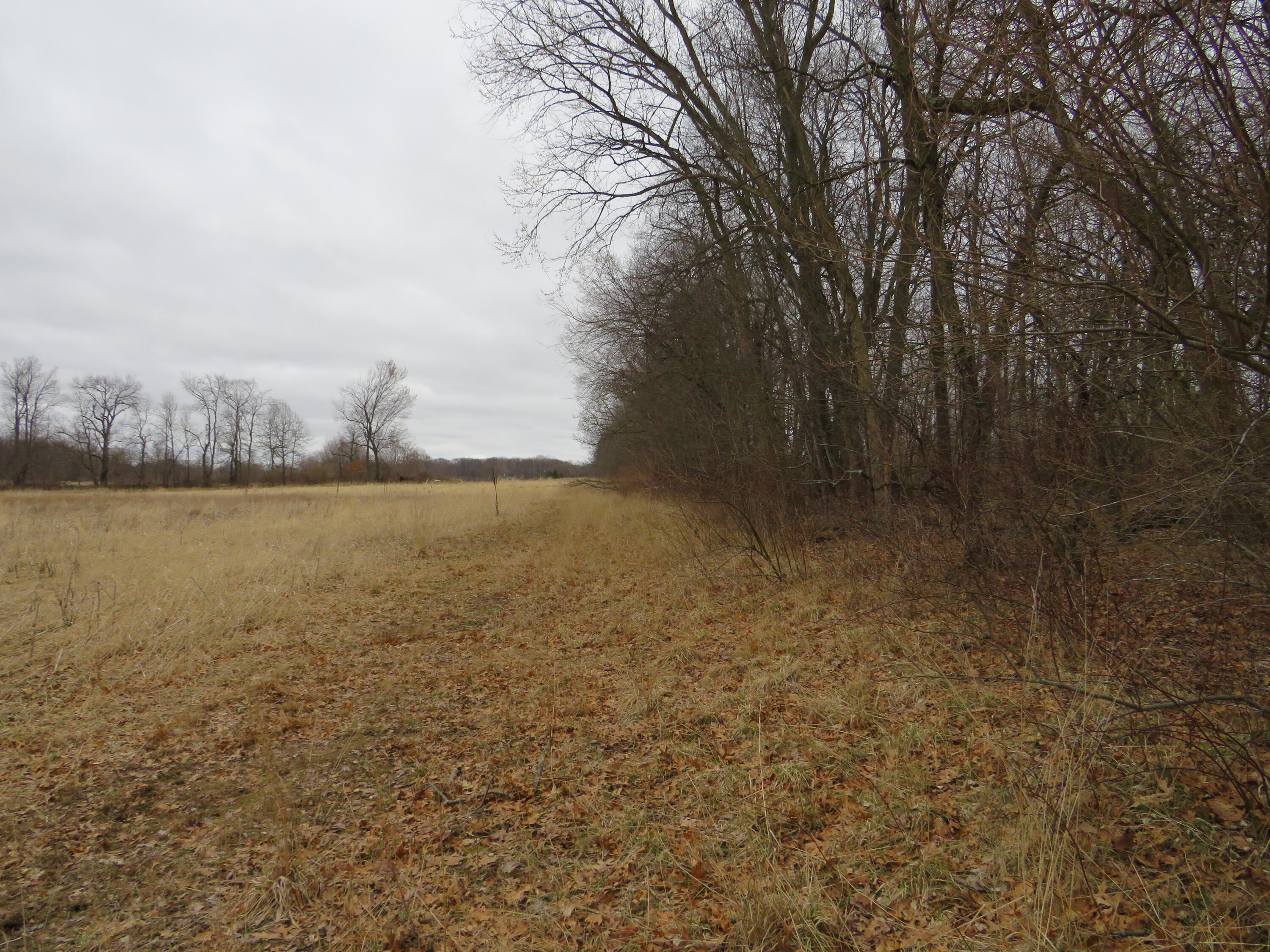 Fenner Road Laingsburg, MI 48848 - Photo 23 of 30 IMG_3831