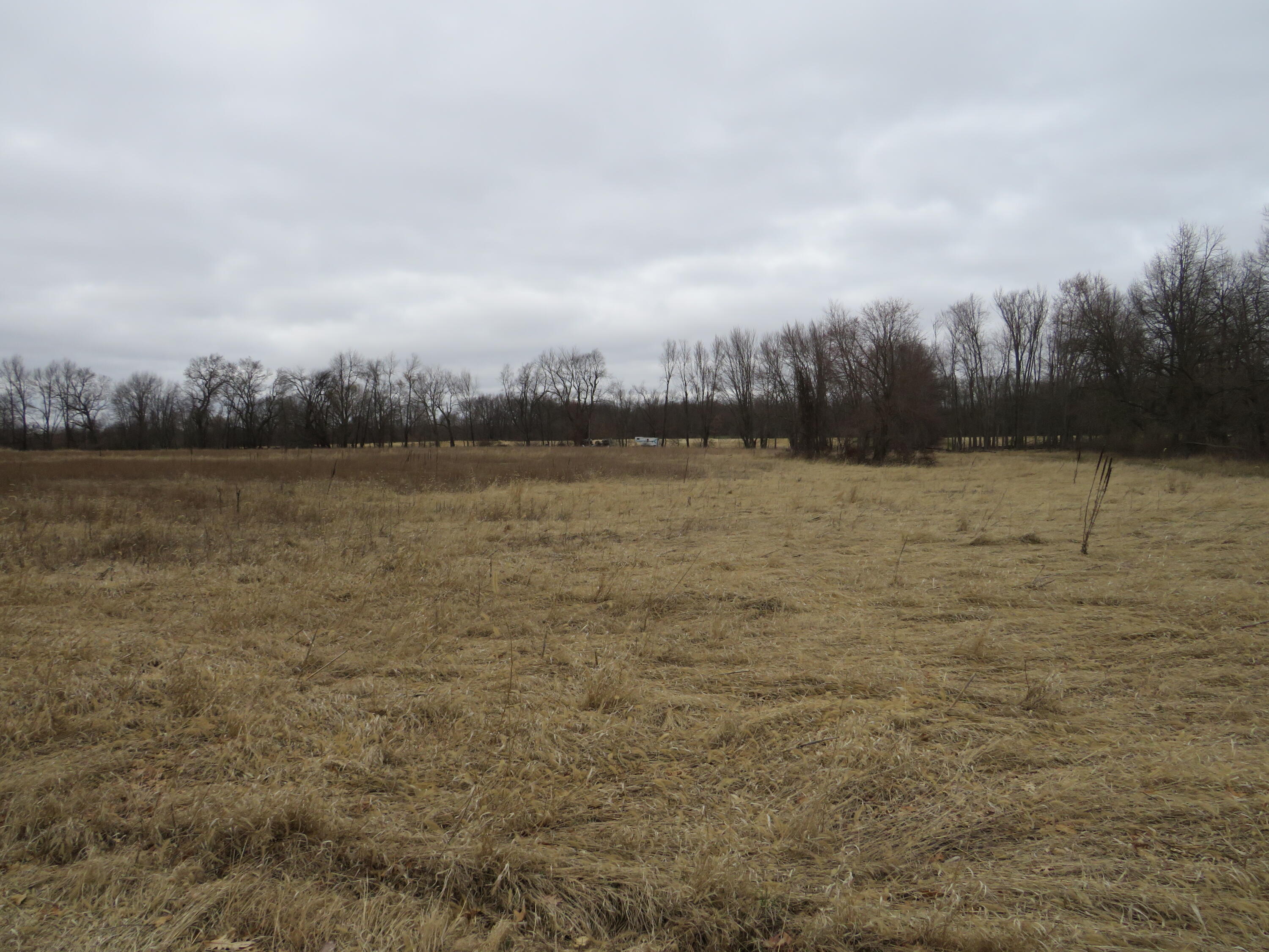 Fenner Road Laingsburg, MI 48848 - Photo 24 of 30 IMG_3836