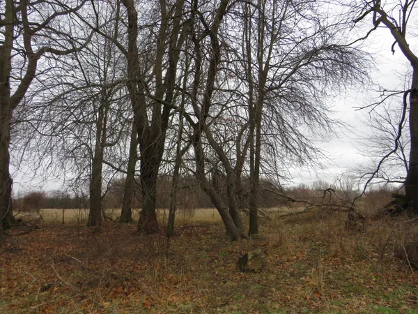 $279,000 | Fenner Road, Laingsburg, MI 48848