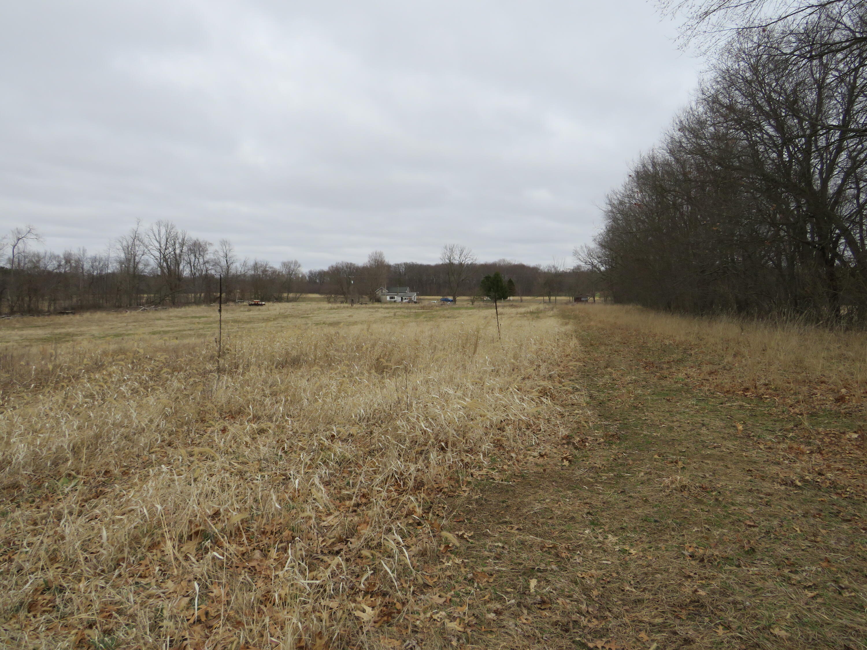 Fenner Road Laingsburg, MI 48848 - Photo 26 of 30 IMG_3847