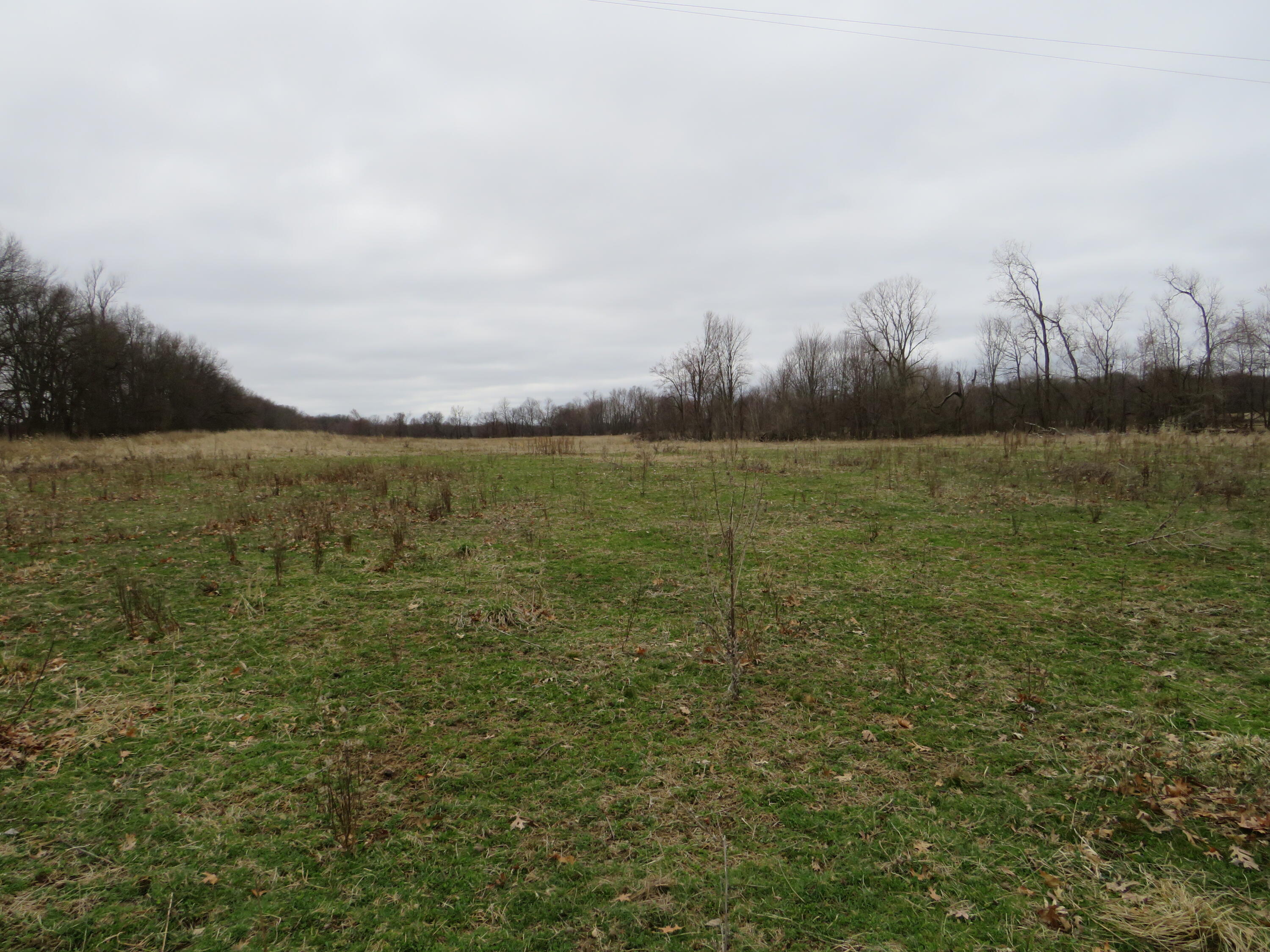 Fenner Road Laingsburg, MI 48848 - Photo 3 of 30 IMG_3762