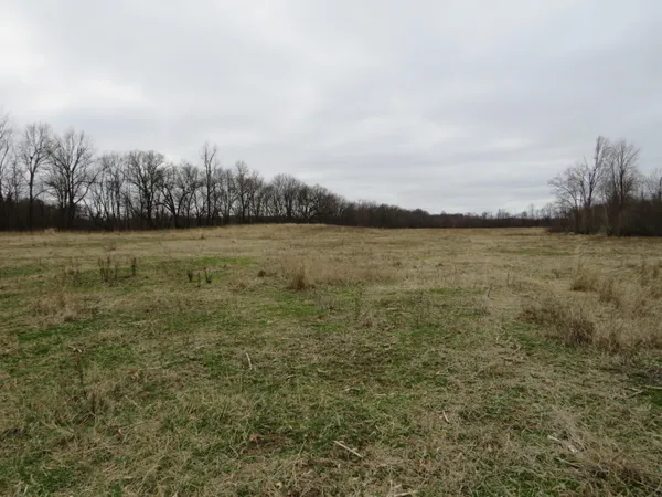 $279,000 | Fenner Road, Laingsburg, MI 48848