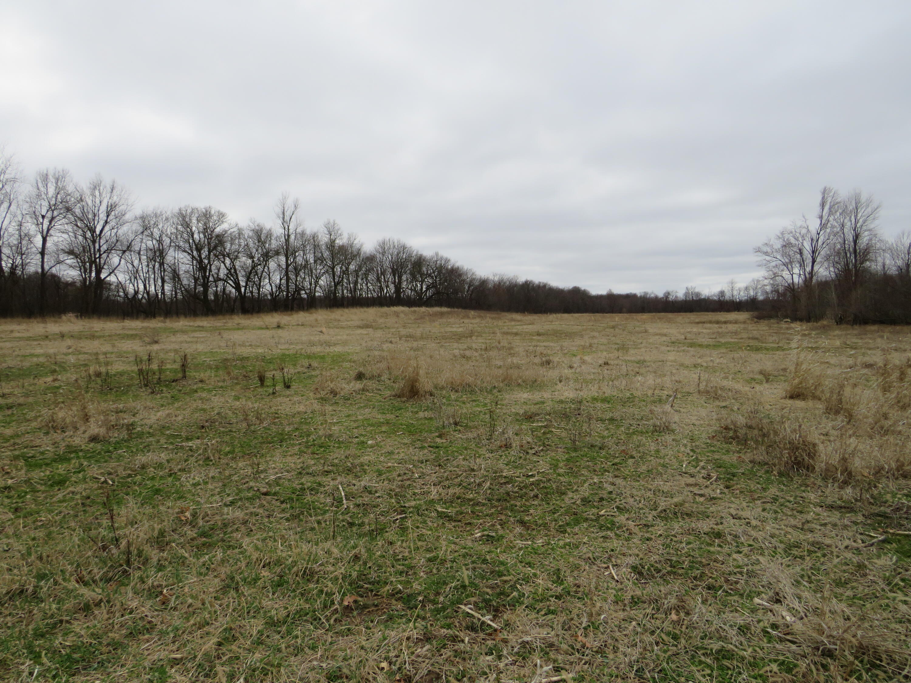 Fenner Road Laingsburg, MI 48848 - Photo 4 of 30 IMG_3766