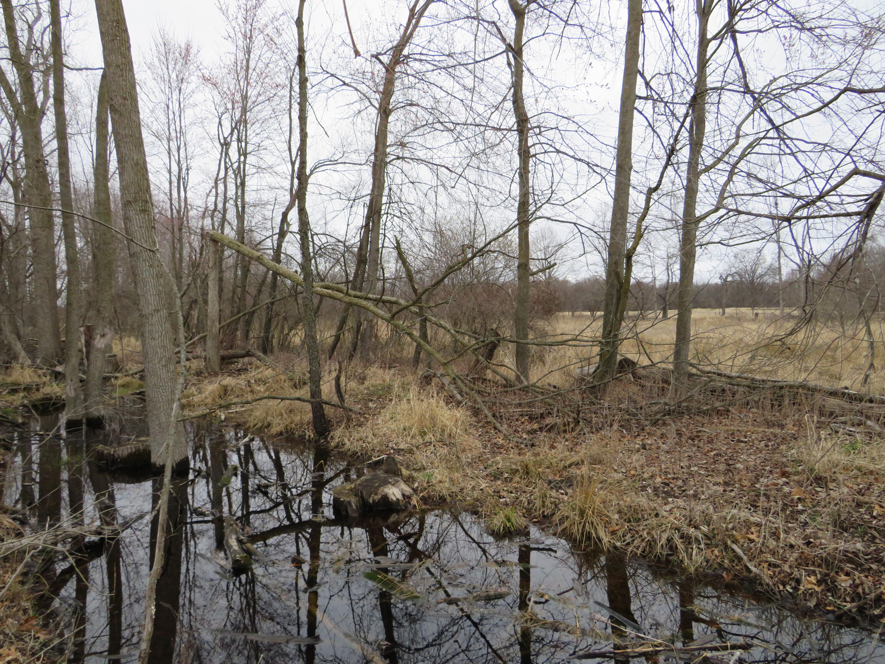 Fenner Road Laingsburg, MI 48848 - Photo 6 of 30 IMG_3771