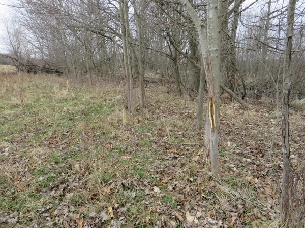 $279,000 | Fenner Road, Laingsburg, MI 48848