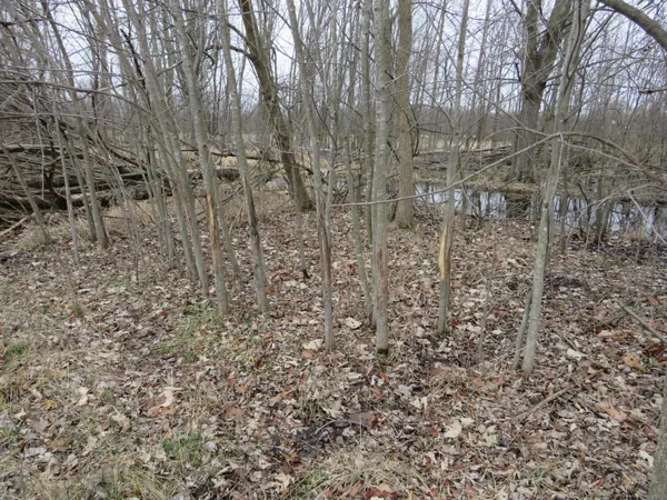 $279,000 | Fenner Road, Laingsburg, MI 48848