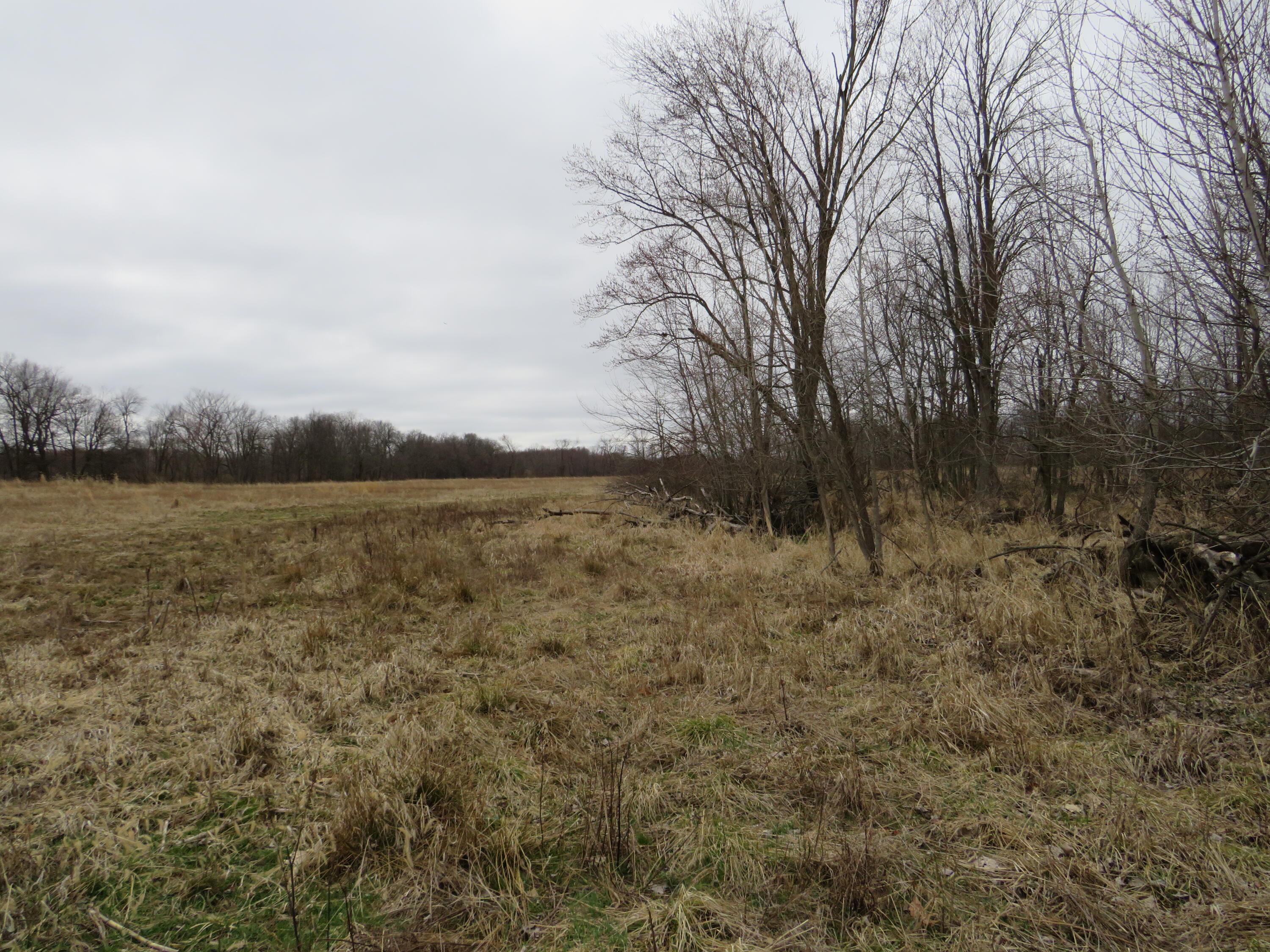 Fenner Road Laingsburg, MI 48848 - Photo 9 of 30 IMG_3775