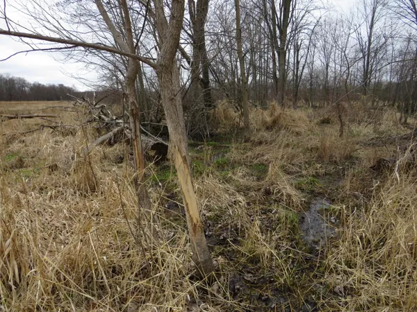 $279,000 | Fenner Road, Laingsburg, MI 48848