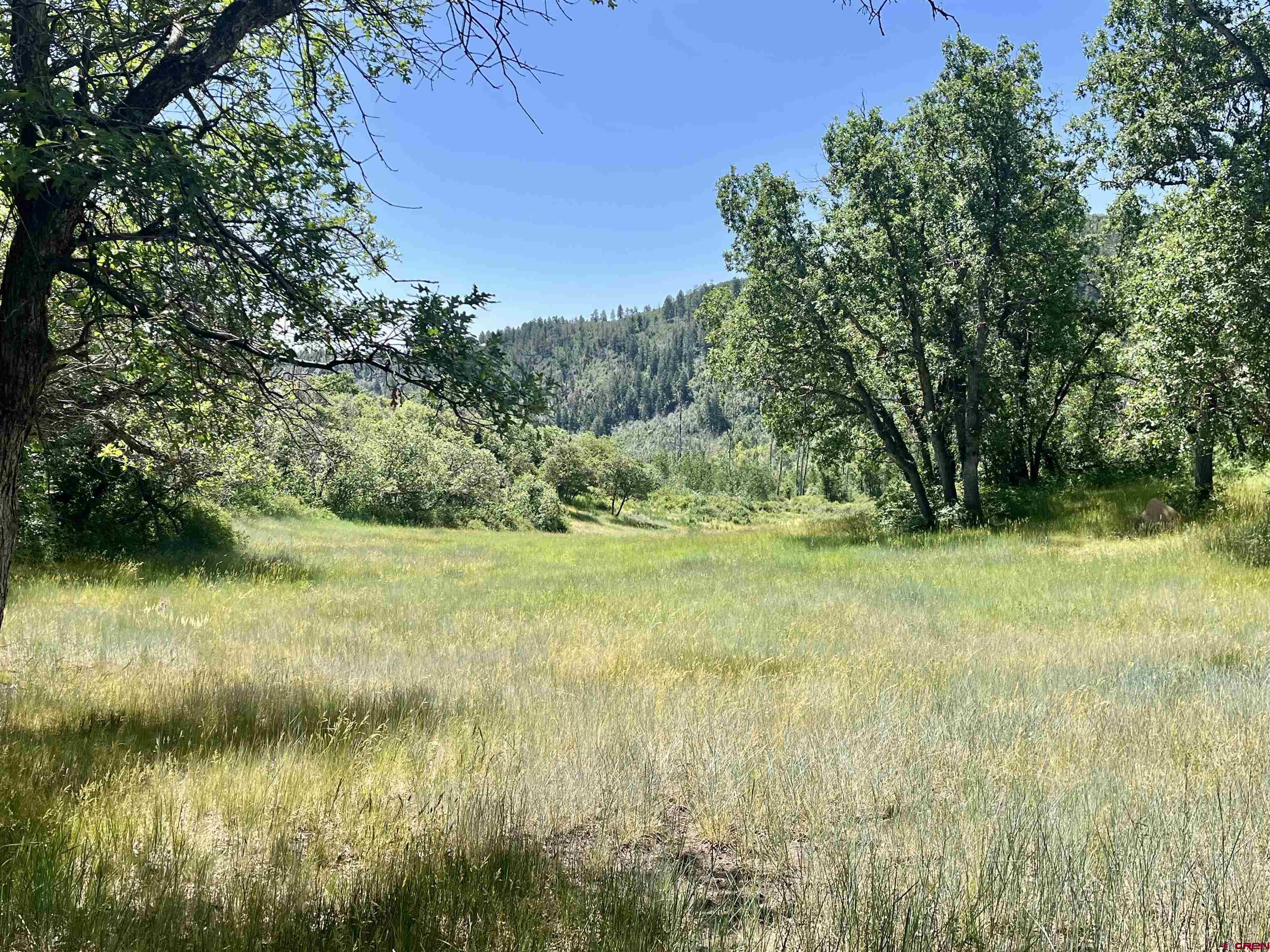 2550 Destination Ranch Road Durango, CO 81301 - Photo 19 of 45 a view of outdoor space and yard