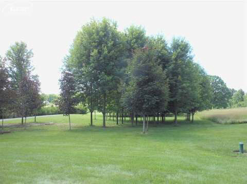 8181 East Baldwin Road Goodrich, MI 48438 - Photo 14 of 34 20415049-13.JPG