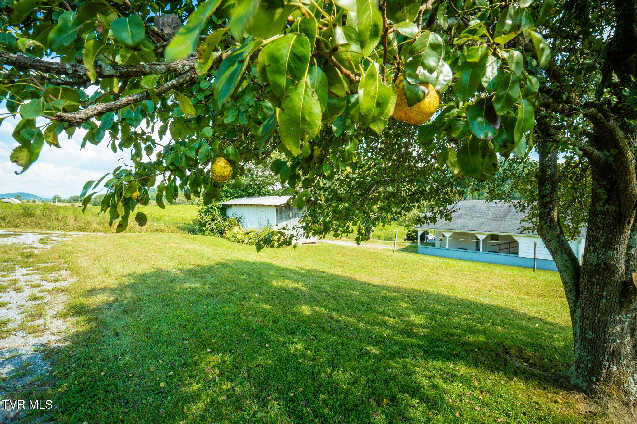 3119 West Carters Valley Road Church Hill, TN 37642 - Photo 40 of 46 002