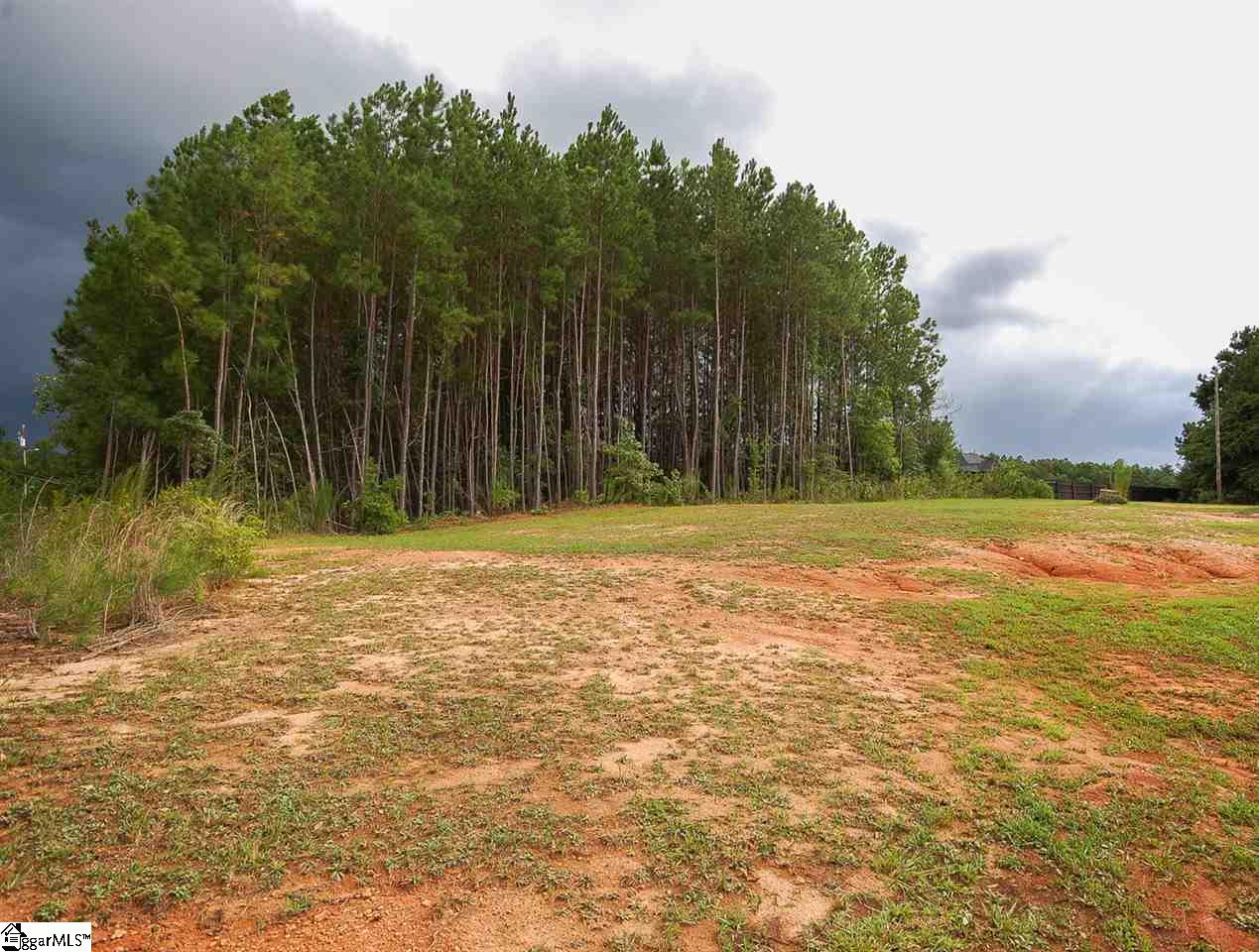 521 McKinney Road Simpsonville, SC 29681 - Photo 28 of 29 Gallery Image 28