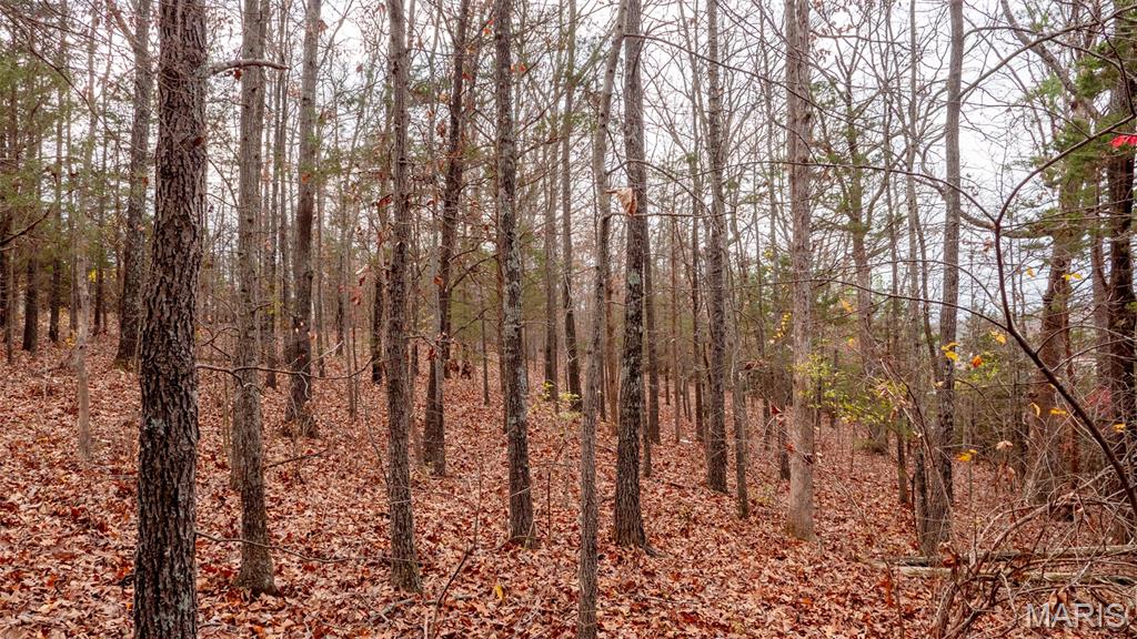 0 Rue Marseilles Bonne Terre, MO 63628 - Photo 11 of 21