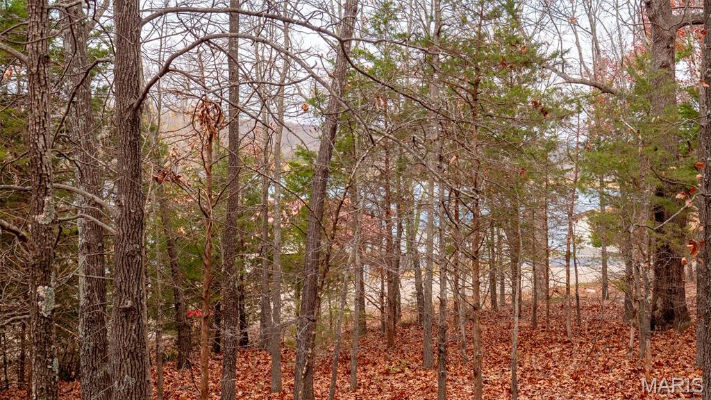 0 Rue Marseilles Bonne Terre, MO 63628 - Photo 12 of 21