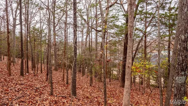 $8,000 | 0 Rue Marseilles, Bonne Terre, MO 63628