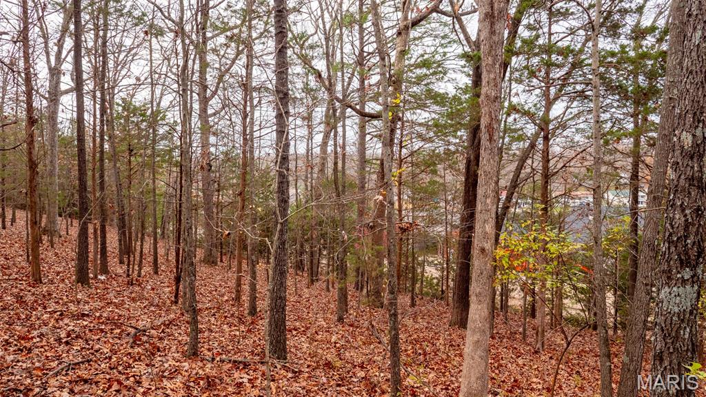 0 Rue Marseilles Bonne Terre, MO 63628 - Photo 13 of 21