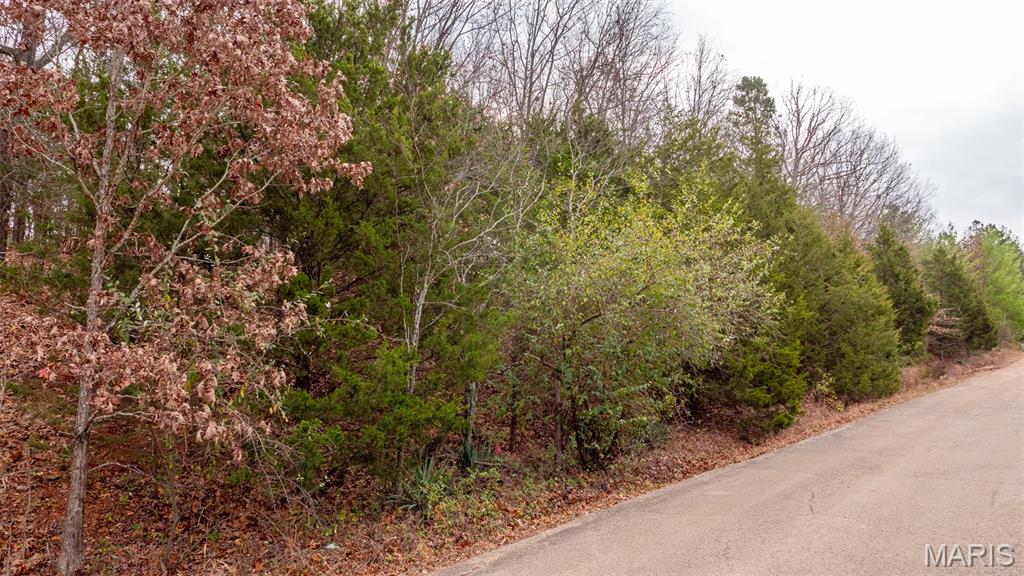 0 Rue Marseilles Bonne Terre, MO 63628 - Photo 20 of 21