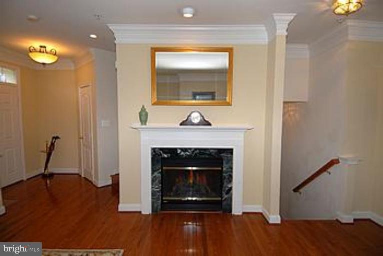 23634 Public House Road Clarksburg, MD 20871 - Photo 6 of 18 Fireplace