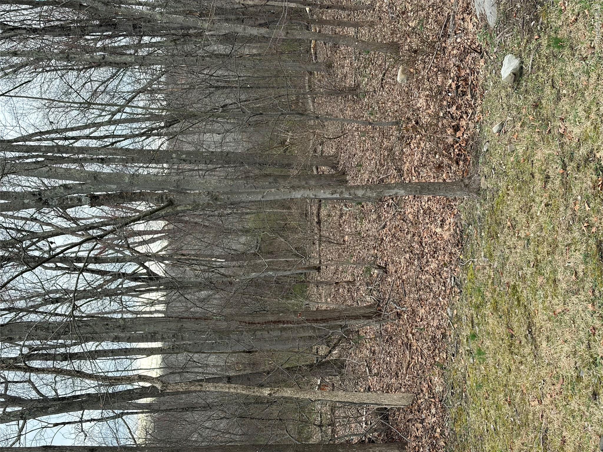 Wells Road Newburgh, NY 12550 - Photo 27 of 37