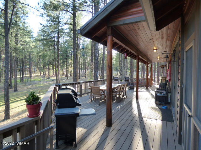 4 County Road Alpine, AZ 85920 - Photo 3 of 41