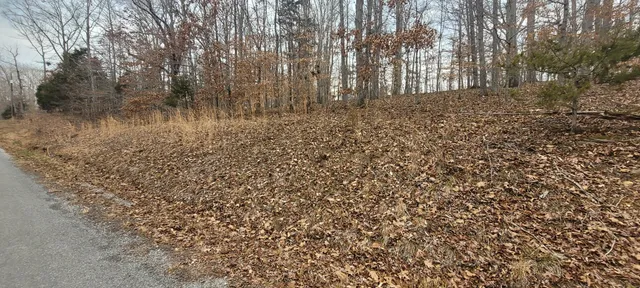 $11,000 | 1 Lakeshore Circle, Bumpus Mills, TN 37028