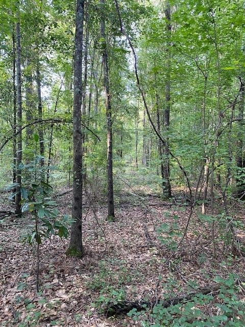 0 Kennington Road Gordon, GA 31031 - Photo 1 of 1 Gallery Image 1