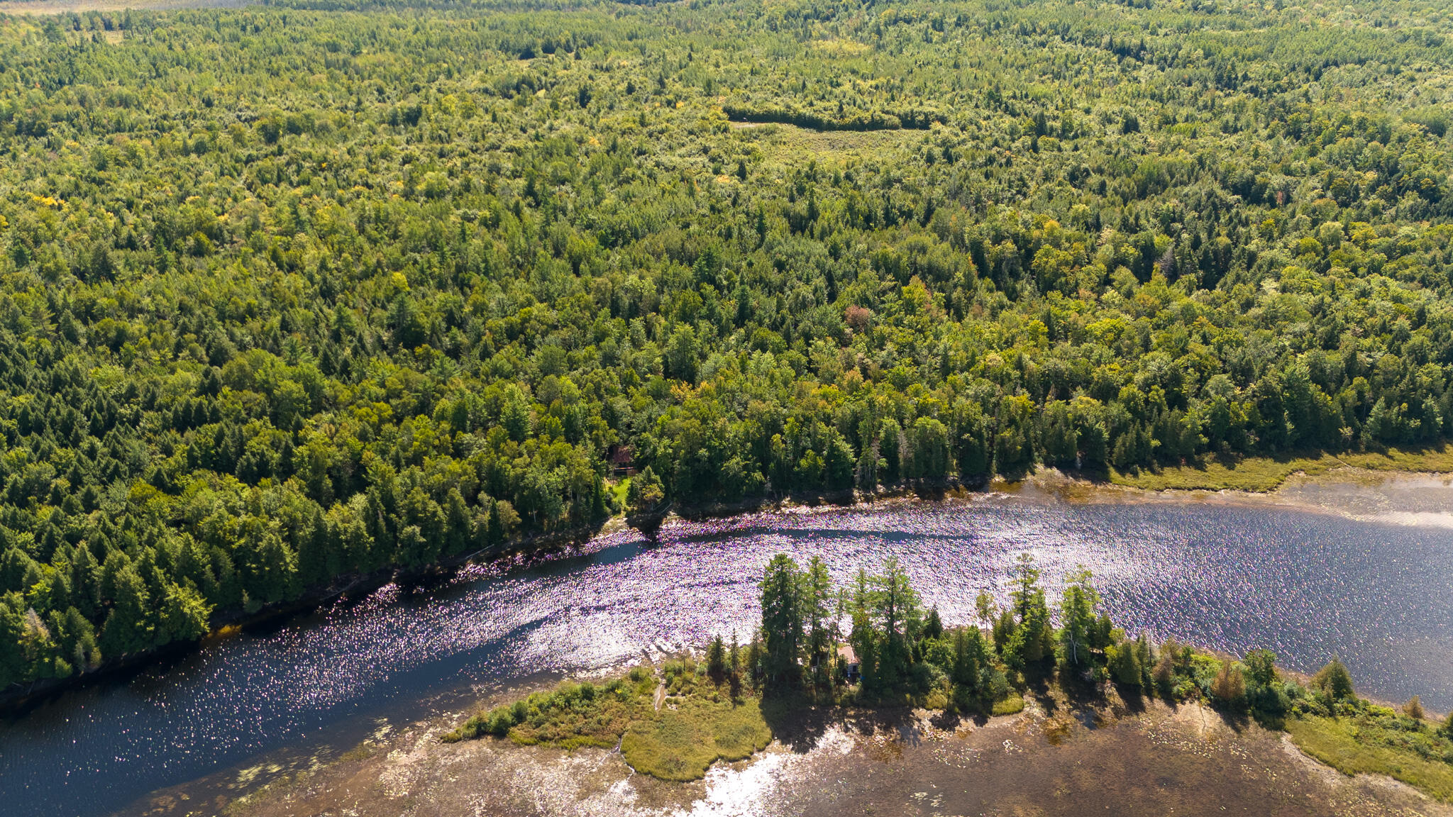 L4-m7 L4-m7 Off Of Carver Road Milo, ME 04463 - Photo 13 of 24
