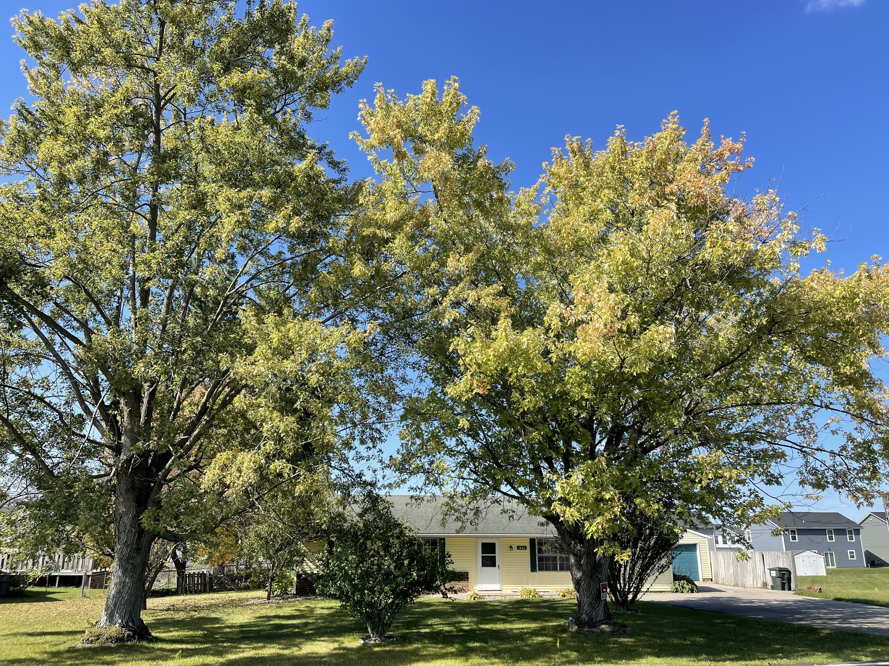 1862 North Blue Road Greenfield, IN 46140 - Photo 44 of 45