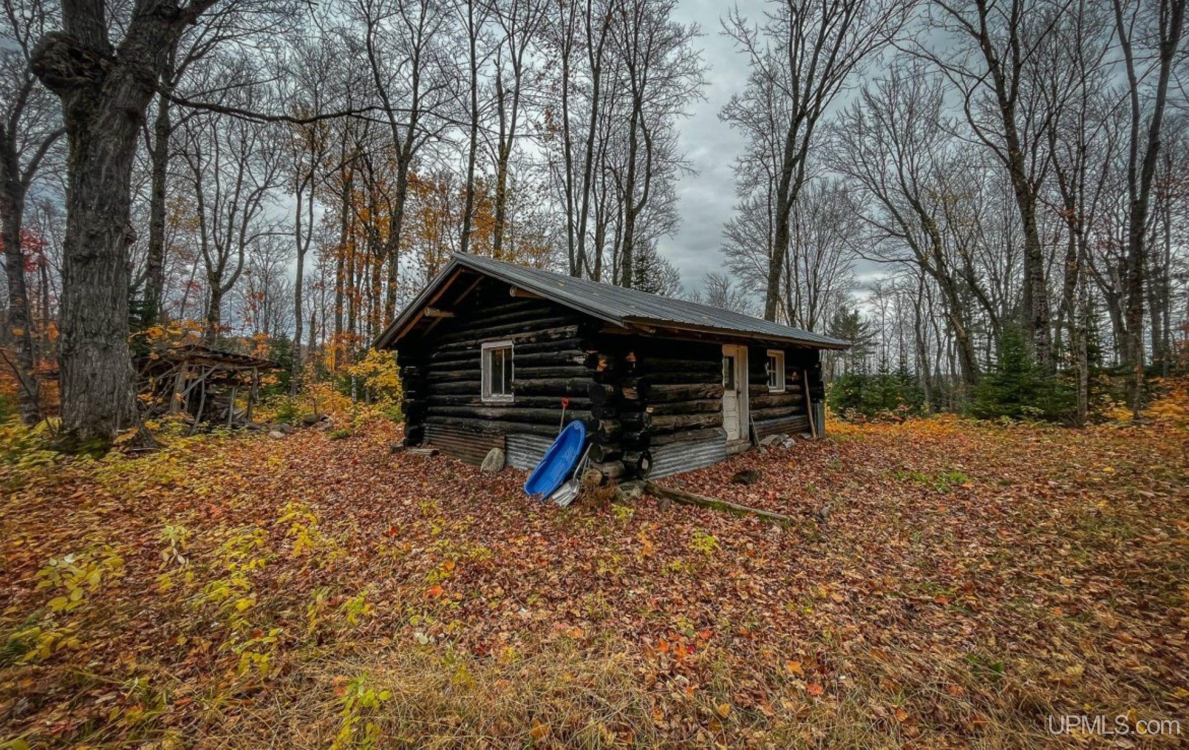 160-acres 160-acres Off Red Road Marquette, MI 49855 - Photo 4 of 4