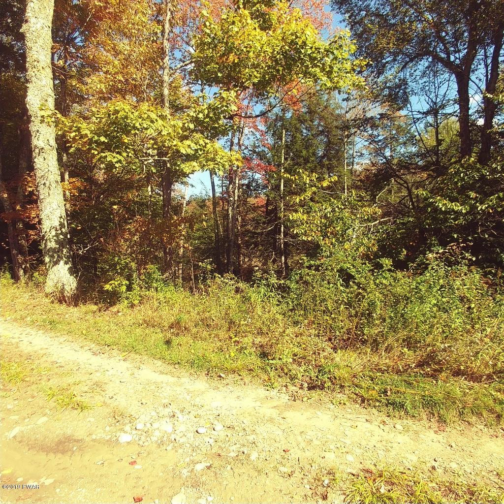 Bonnie Brook Road Roscoe, NY 12776 - Photo 1 of 7