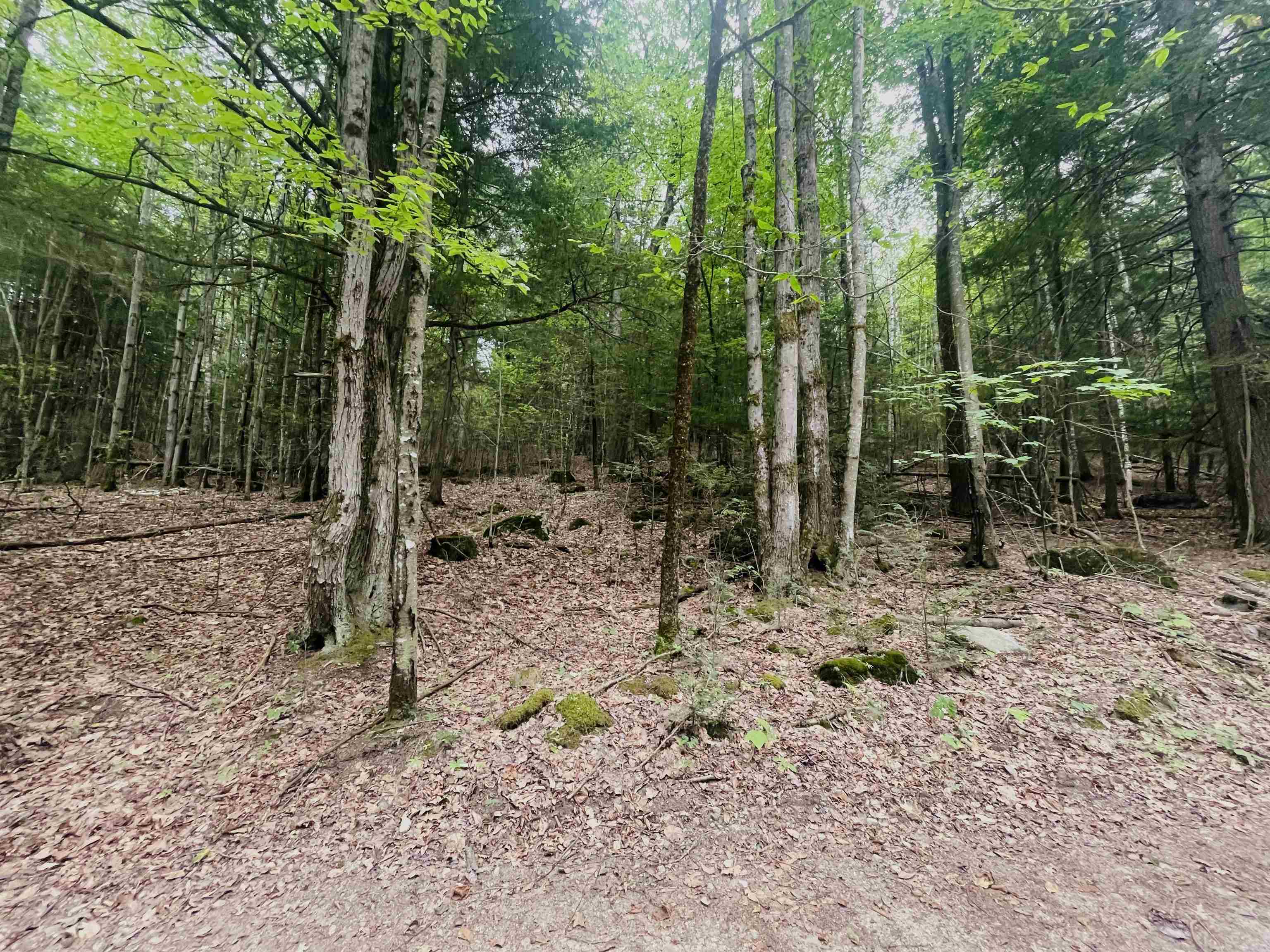 Lot 11 True Road, Unit R23LOT 11 Pittsfield, NH 03263 - Photo 6 of 10