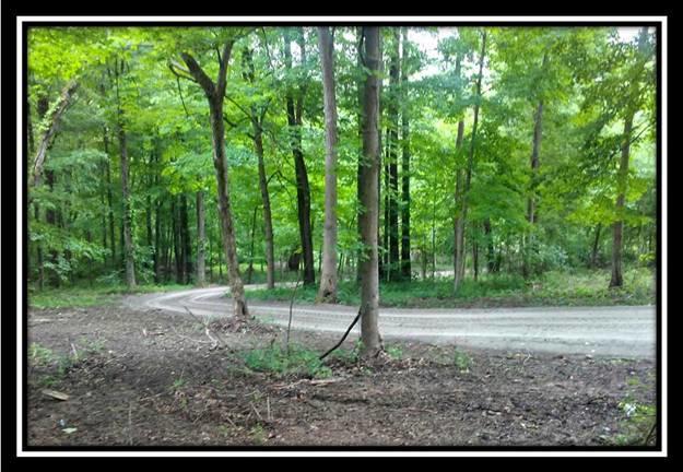 6221 Via-Ken Road Hopewell, OH 43746 - Photo 1 of 13