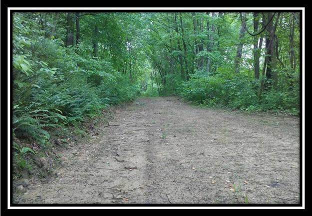 6221 Via-Ken Road Hopewell, OH 43746 - Photo 13 of 13