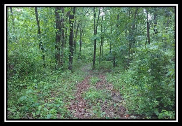 6221 Via-Ken Road Hopewell, OH 43746 - Photo 6 of 13